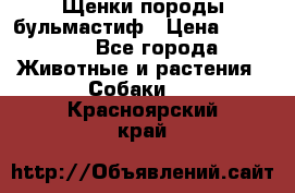 Щенки породы бульмастиф › Цена ­ 25 000 - Все города Животные и растения » Собаки   . Красноярский край